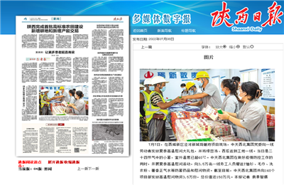 天九娱乐西北集团珑樾府项目高温慰问——《陕西日报》